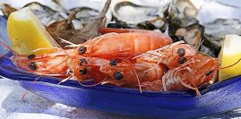 Гастрономическое приключение на острове Русском:  Вкус моря у вас на тарелке!. 